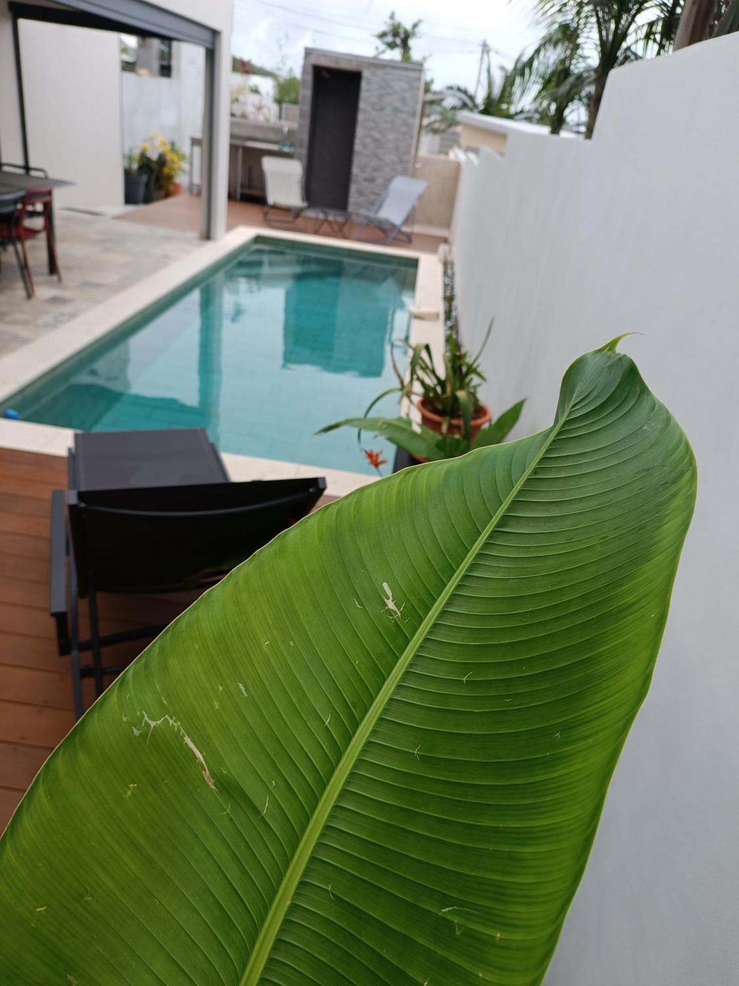 Villa O'Lhaya Piscine Pivee Saint-Joseph Exterior foto