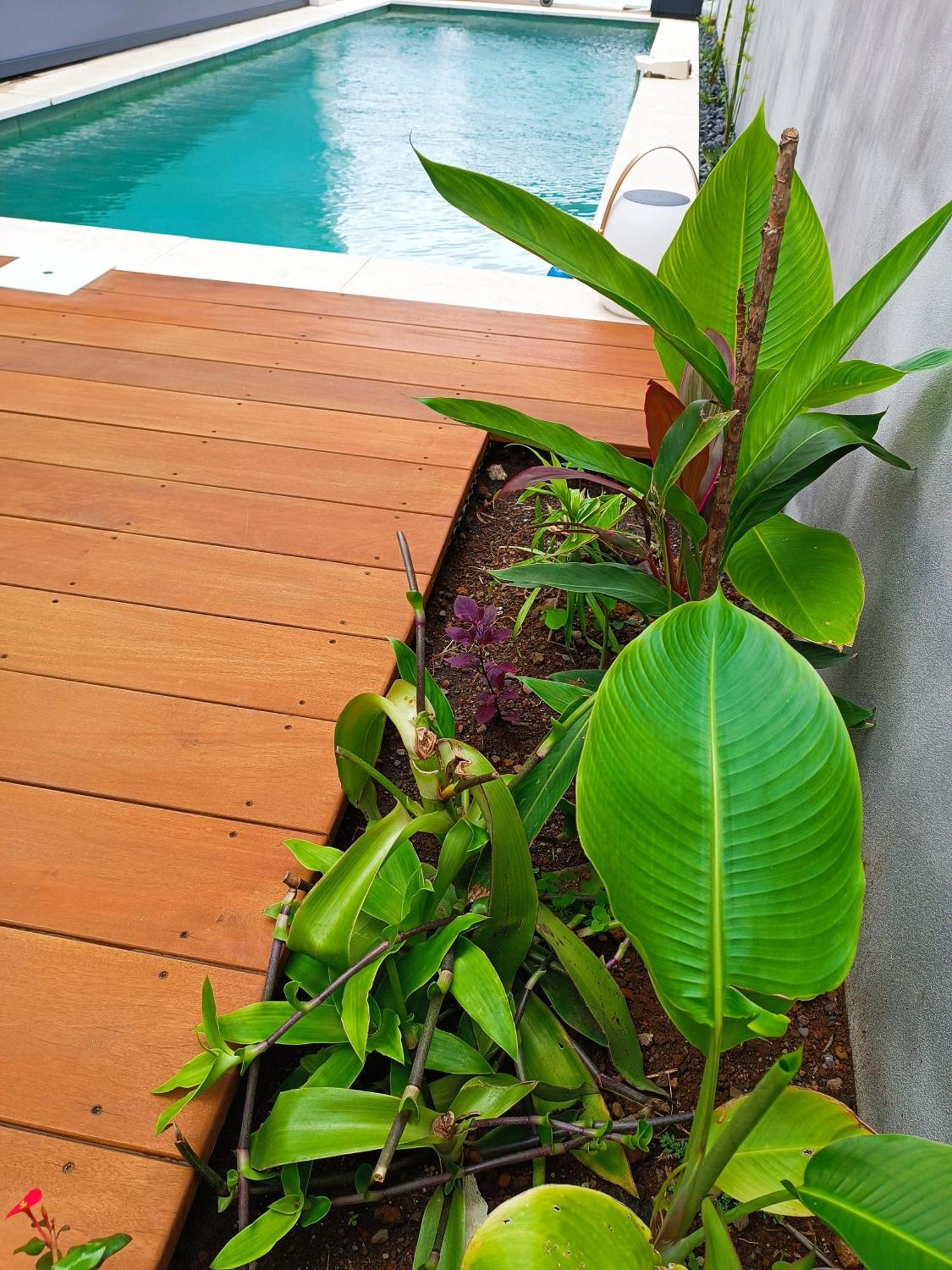 Villa O'Lhaya Piscine Pivee Saint-Joseph Exterior foto