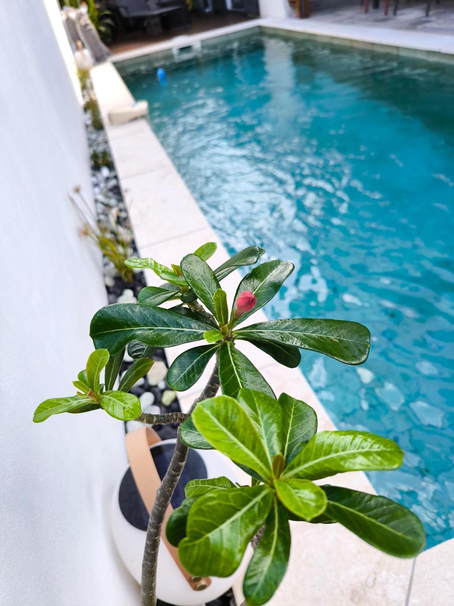 Villa O'Lhaya Piscine Pivee Saint-Joseph Exterior foto